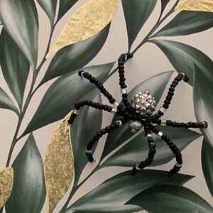 Black & Silver spider